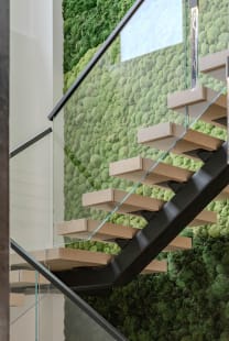 Floating stair with glass beside moss wall