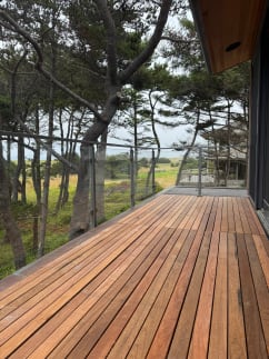 Gray-post glass railing runs along a long hardwood deck among windswept pines.