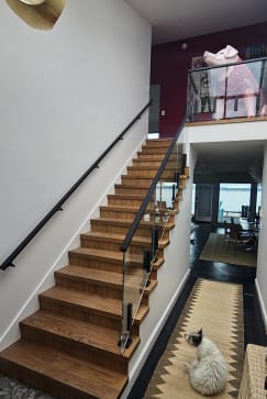 Frameless glass on black Ascend Talons runs along a wood staircase to a glass-railed loft, with a black wall handrail opposite; a cat lounges below.