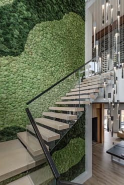 Light oak floating treads on a black mono stringer with frameless glass railing beside a living moss wall and pendant lights.