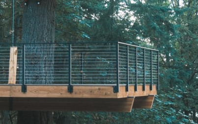 Black cable railing wraps a cantilevered wood platform among tall evergreens.