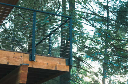 Low view of black cable railing on a wood platform framed by tall evergreens.