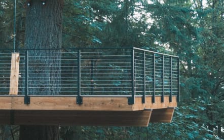 Black cable railing wraps a cantilevered wood platform among tall evergreens.