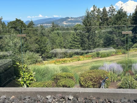 Frameless glass railing on spigots edges a terrace looking over gardens, forest and distant hills.