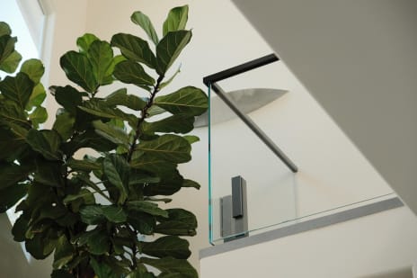Glass railing with fiddle-leaf fig