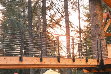 Black cable railing runs along a cedar treehouse deck with sunlight streaming through tall firs.