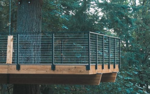 Black cable railing wraps a cantilevered wood platform among tall evergreens.