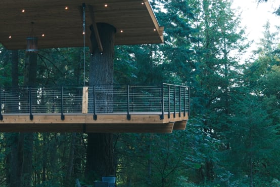 A covered treehouse deck built around a fir trunk with black cable railing in a dense forest.